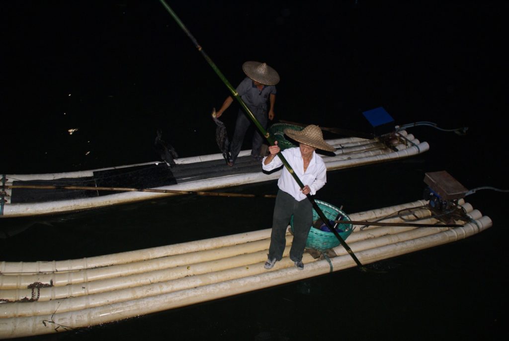 Cormorant Fishing at Night