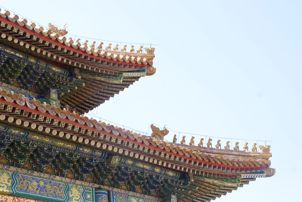 ROOF GUARDIANS