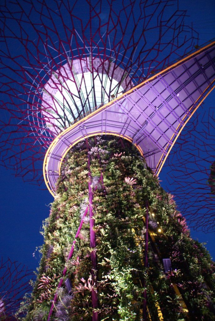 GARDENS BY THE BAY