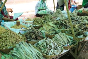 DRIED FISH...