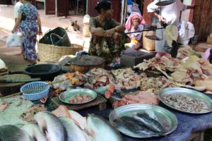 MEAT AND FISH...WITH NO REFRIGERATION...JUST A LADY SWATTING FLIES