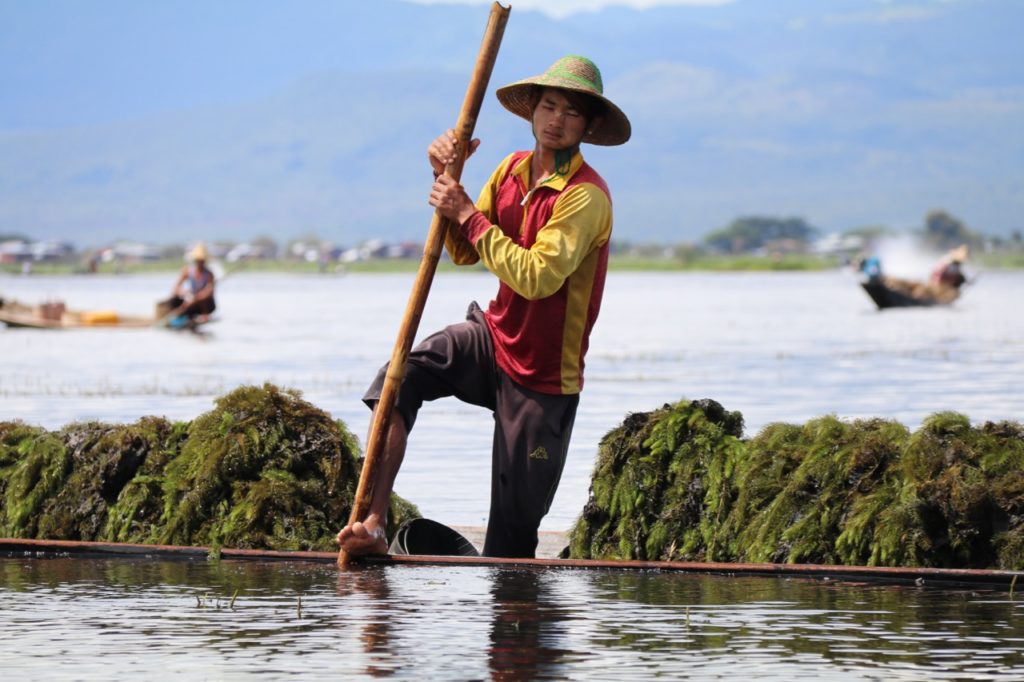 COLLECTING THE REEDS TO MAKE THE FLOATING GARDENS