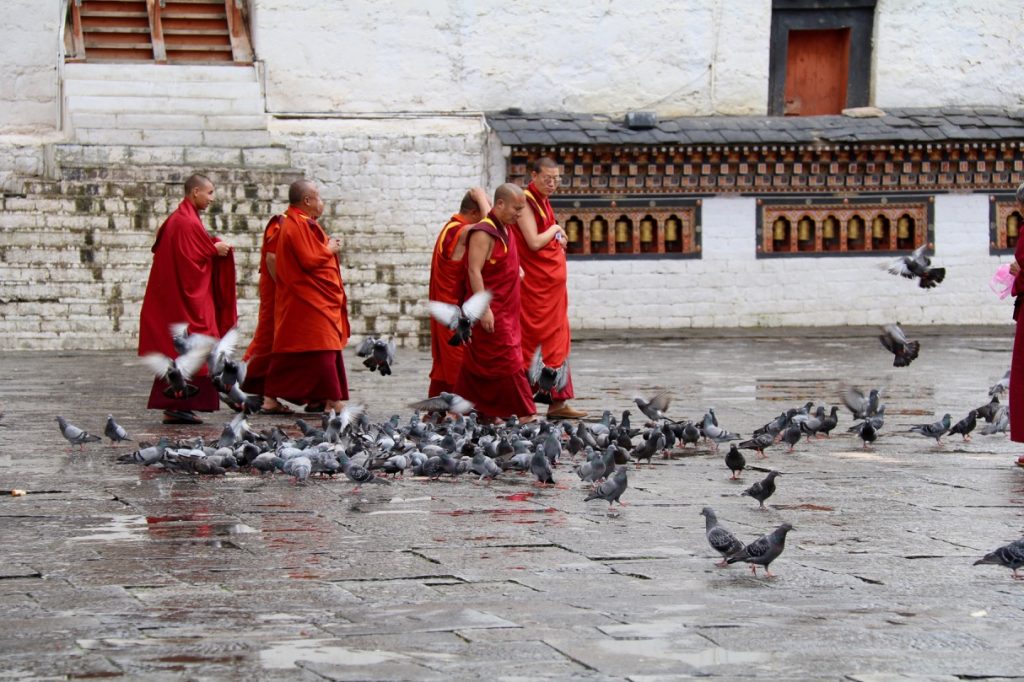 Red-robbed monks at Thimphu Dzong