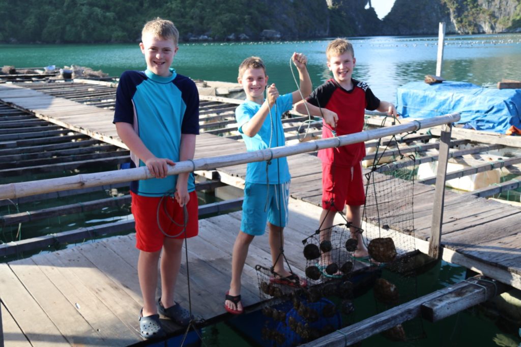 Pearl farm on Halong Bay, Vietnam