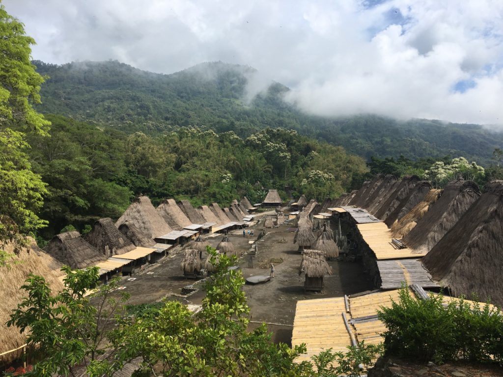 Bena, traditional Ngada village in Flores