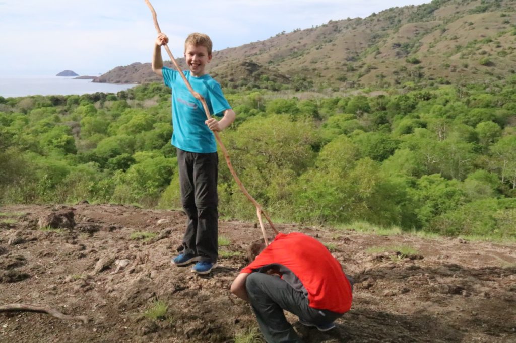 The forked stick - protection from Komodo dragons