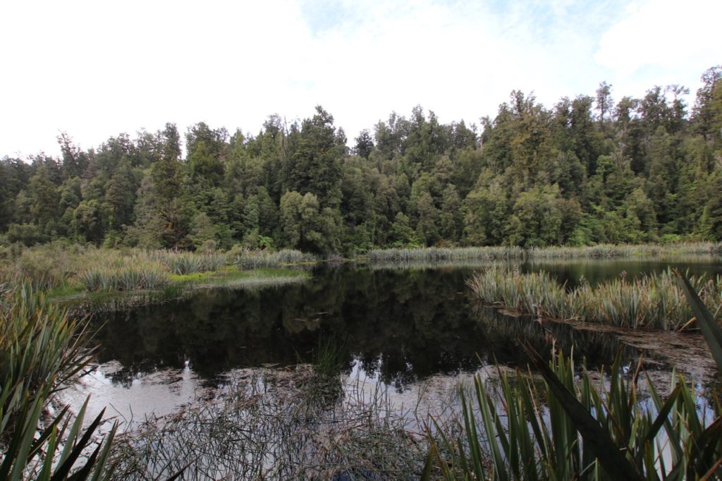 Lake Matheson