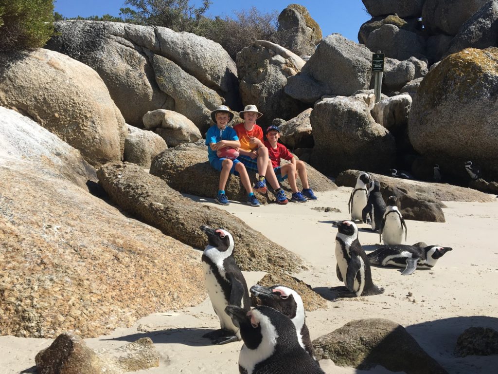 Visiting Boulders Beach South Africa with kids