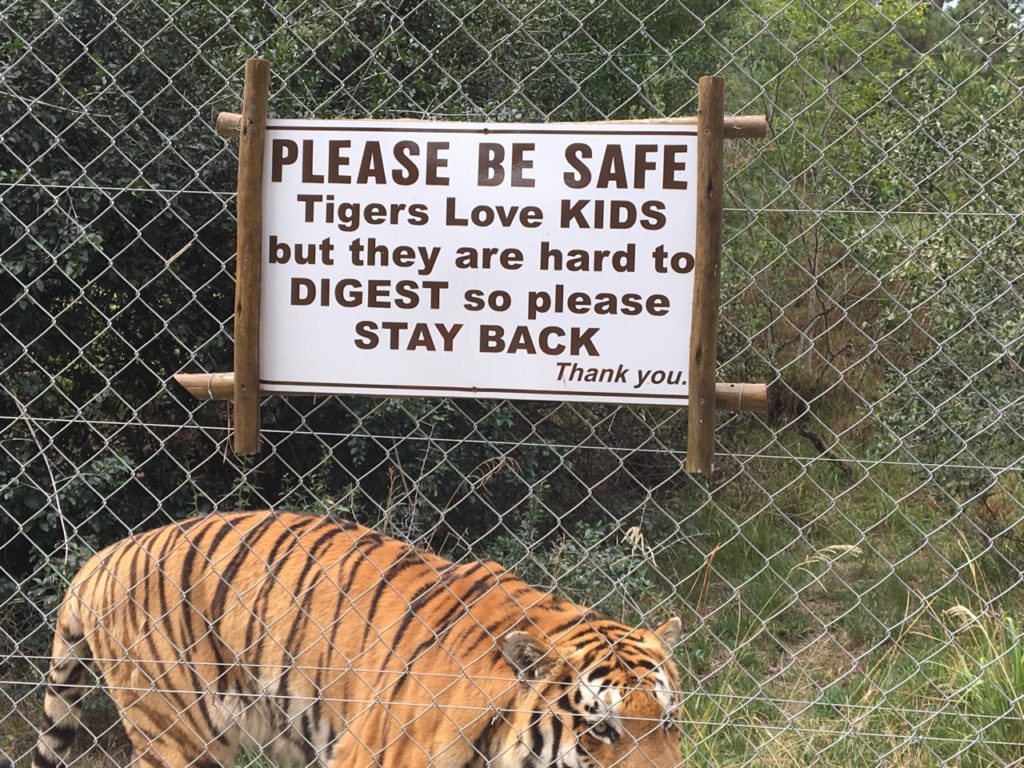 Tigers at Jukani Wildlife Centre