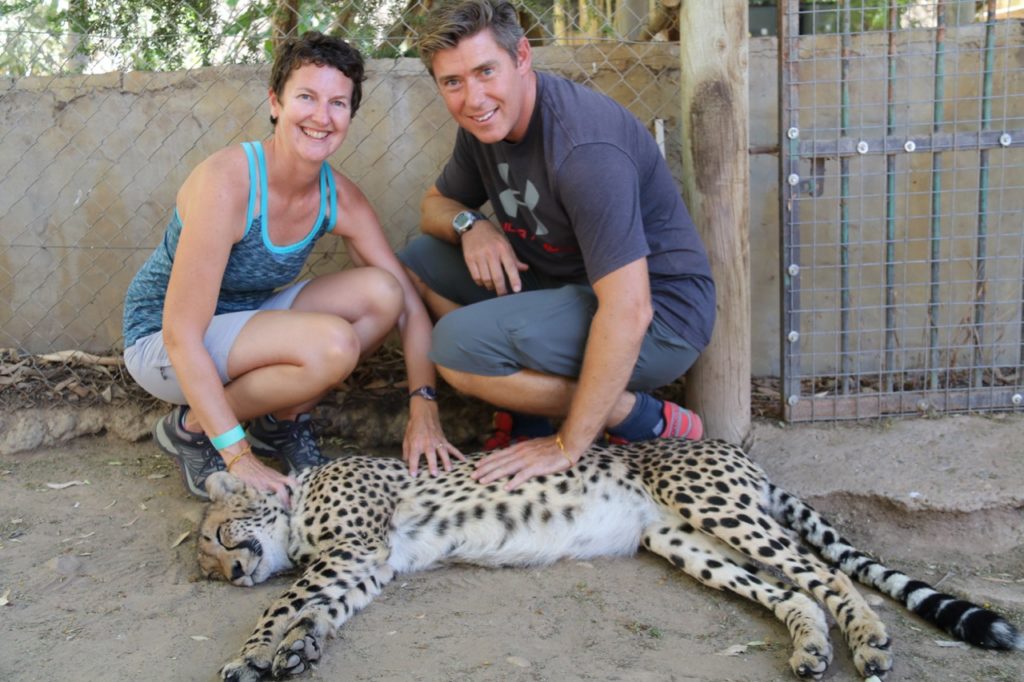 Getting up close to cheetahs at Cango Wildlife Ranch Oudtshoorn