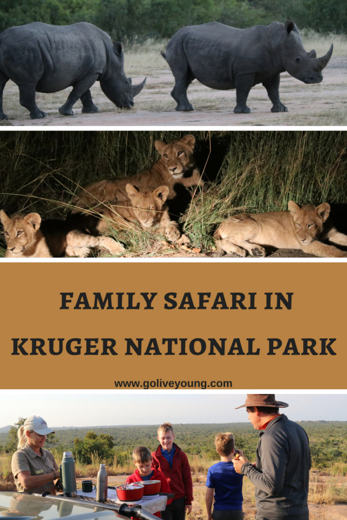 Family Safari in Kruger National Park in South Africa