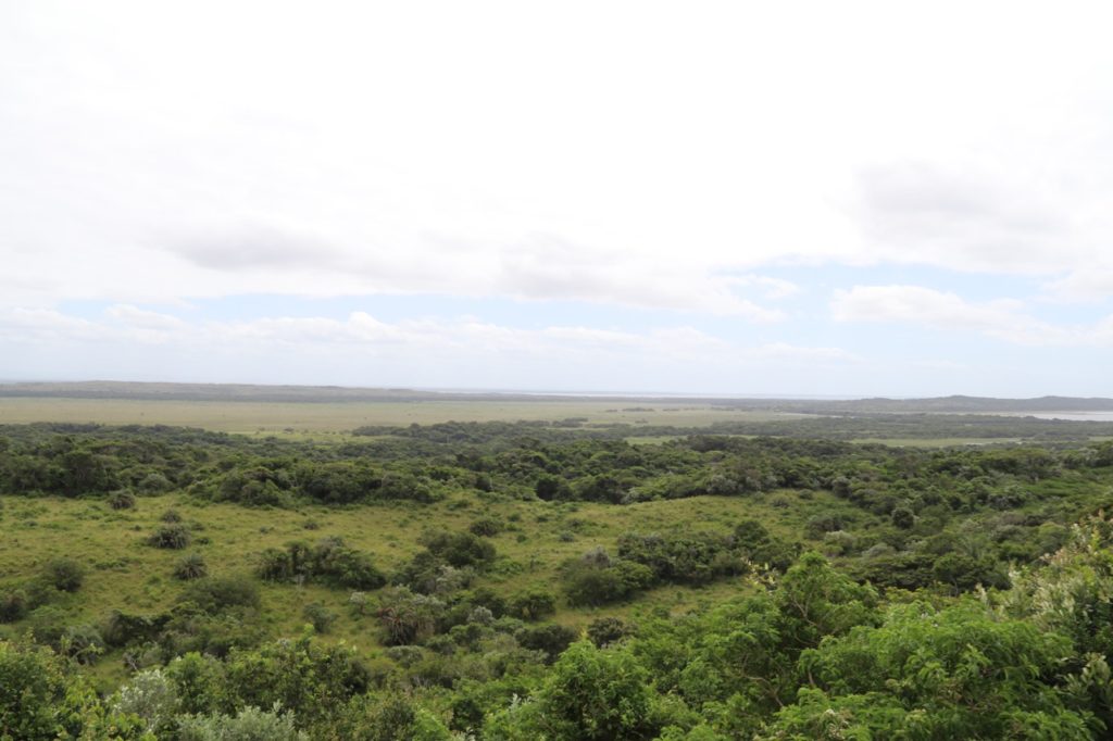 iSimangaliso Wetland Park in South Africa