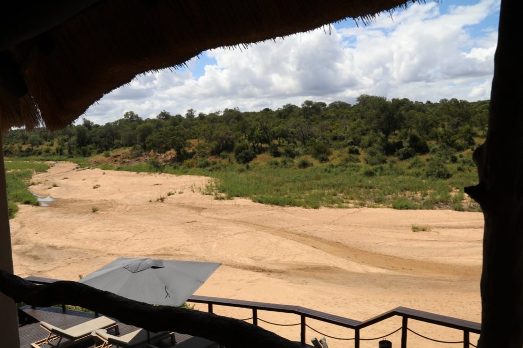 The view of the river bed from Jock Safari Lodge