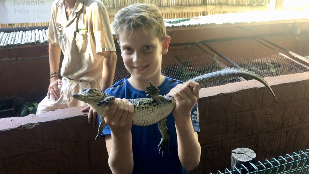 Holding a baby crocodile at the Crocodile Centre, St Lucia, South Africa