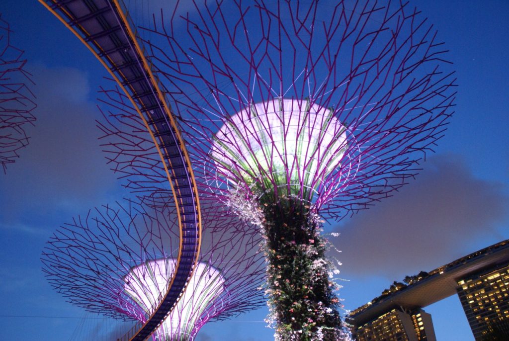 Gardens by the Bay at night in Singapore