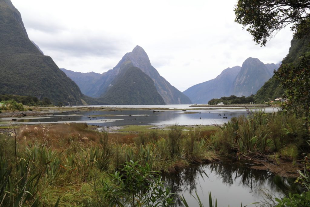 Stunning Milford Sound in New Zealand