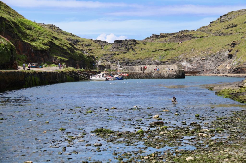 The sheltered harbour in Boscastle
