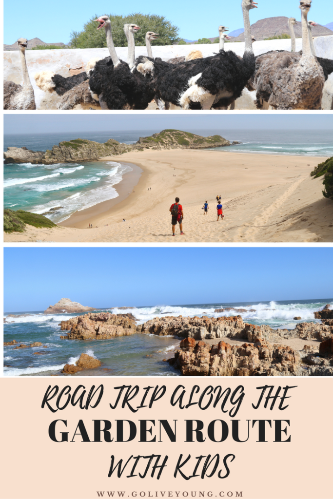 Road trip along the Garden Route in South Africa with kids