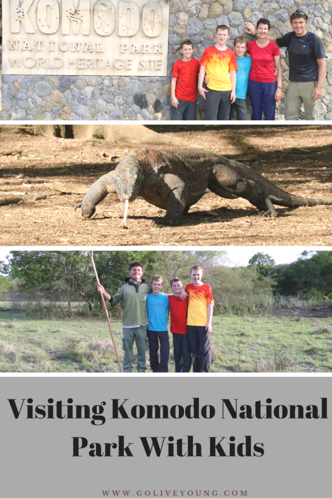 Visiting Komodo National Park with children