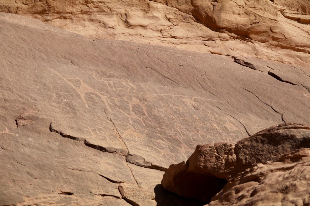 Inscriptions and carvings in Wadi Rum