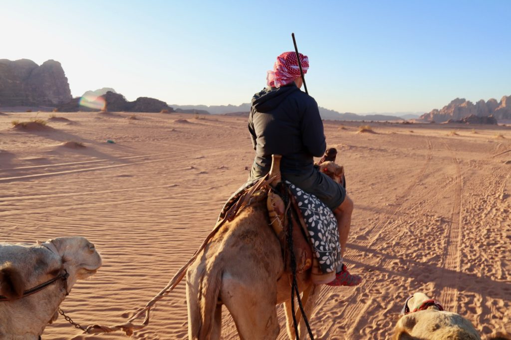Camel riding Wadi Rum