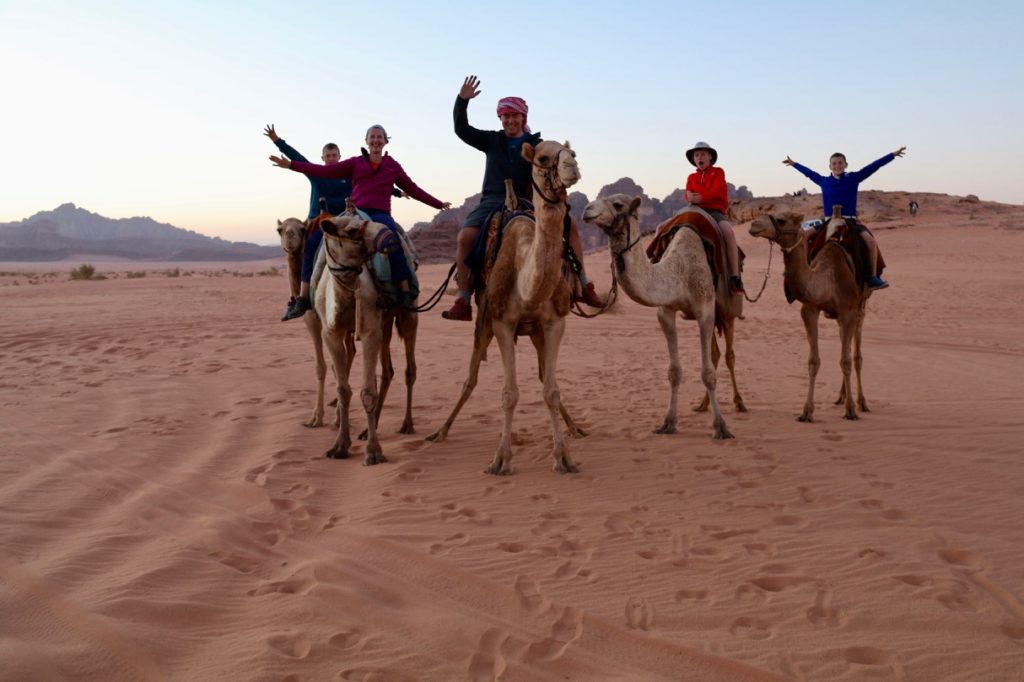 Camel rising in Wadi Rum