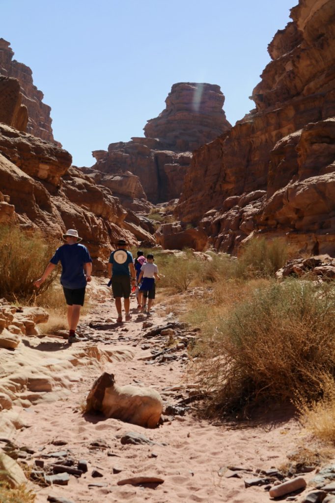 Hiking through Wadi Rum with kids