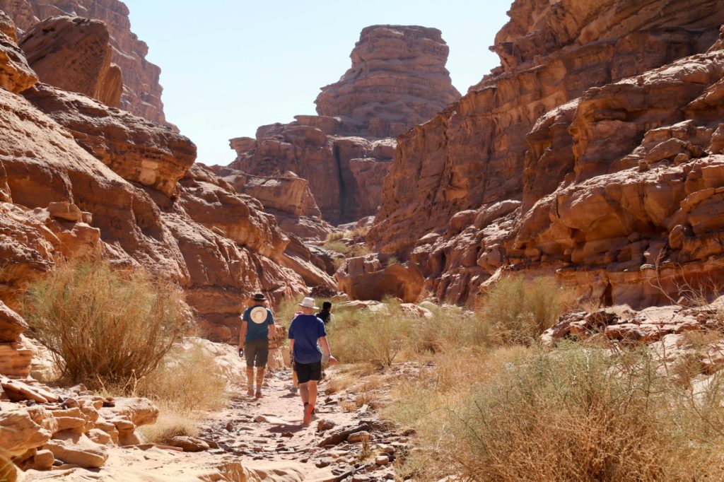 Hiking in Wadi Rum with kids