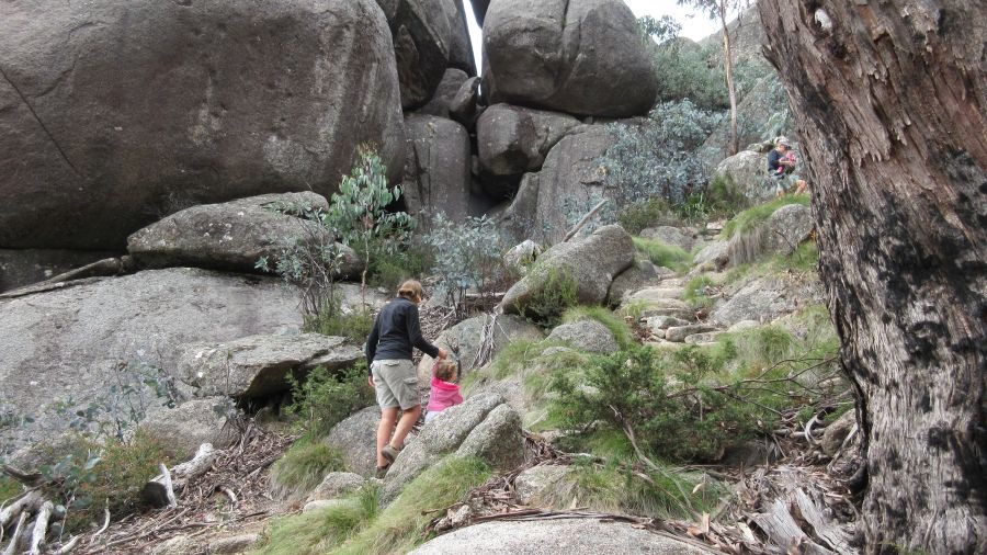 Hiking in Mt. Buffalo National Park with kids - Hill Tribe Travels