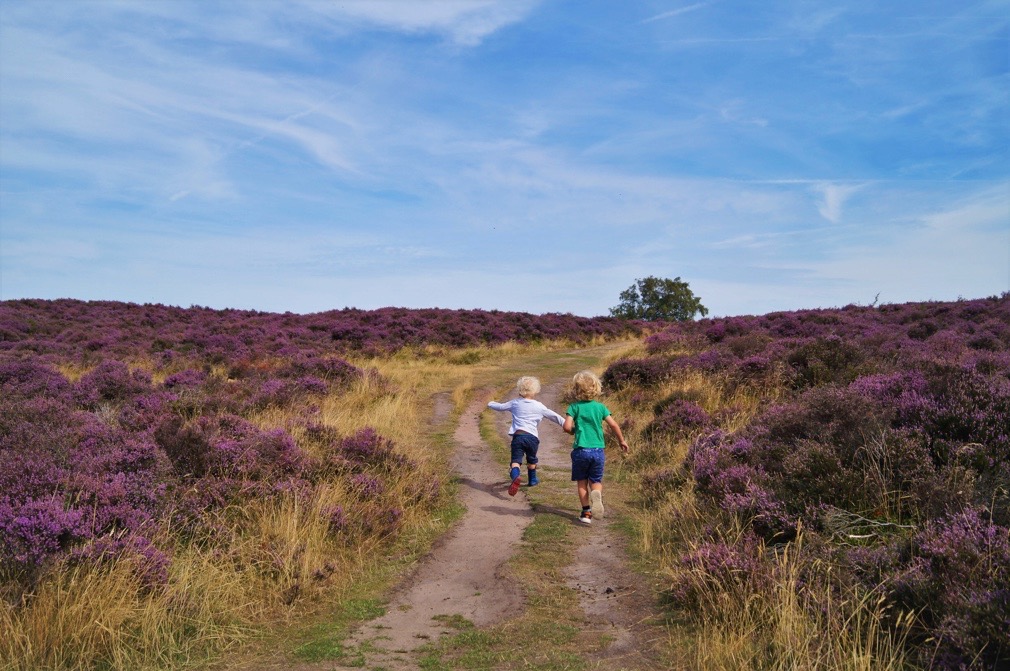 Walking Stanton Mor in the Peak District