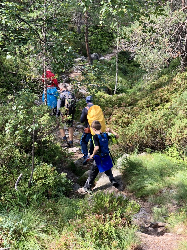 Hiking through woodland on the Rallarstien from Florli 4444