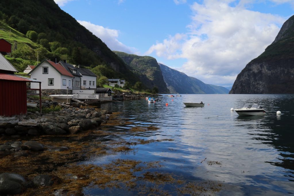 The fjord from Undredal - best things to do in Flam