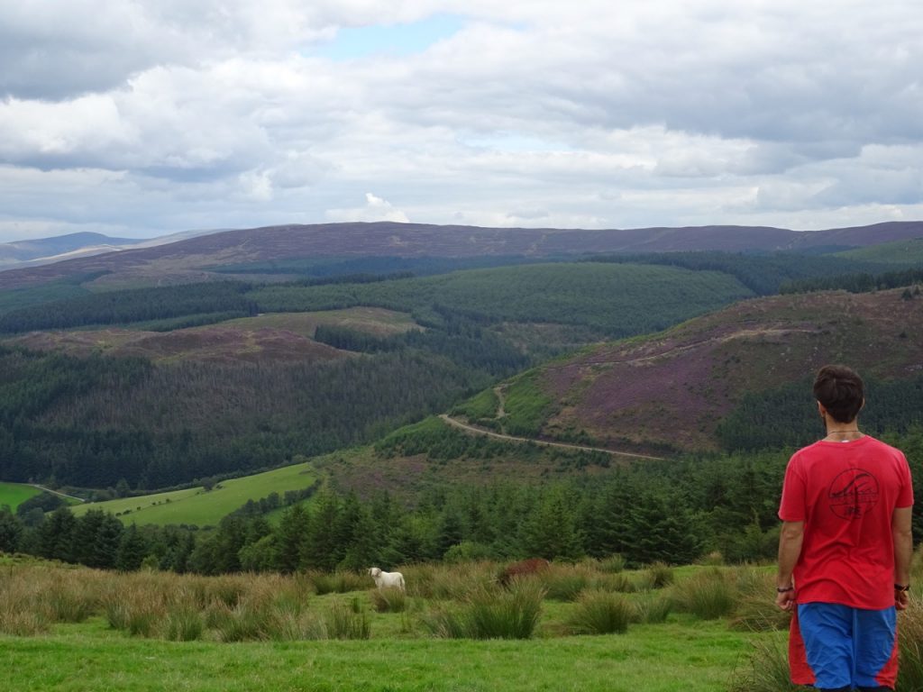 The Gwydyr Forest park