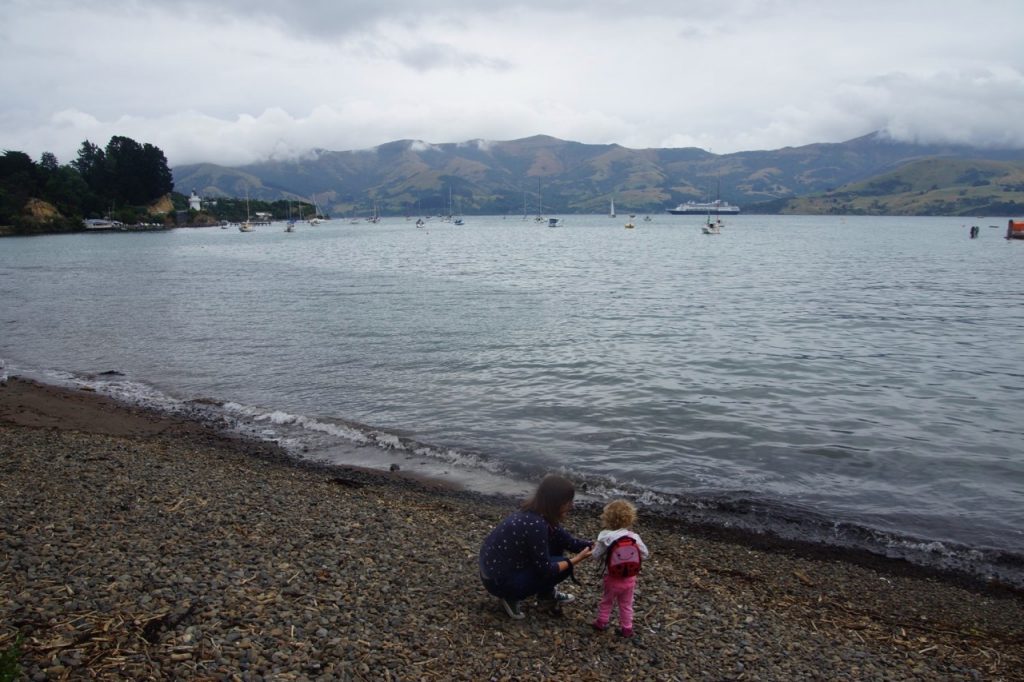 Spotting wildlife in Akaroa in New Zealand