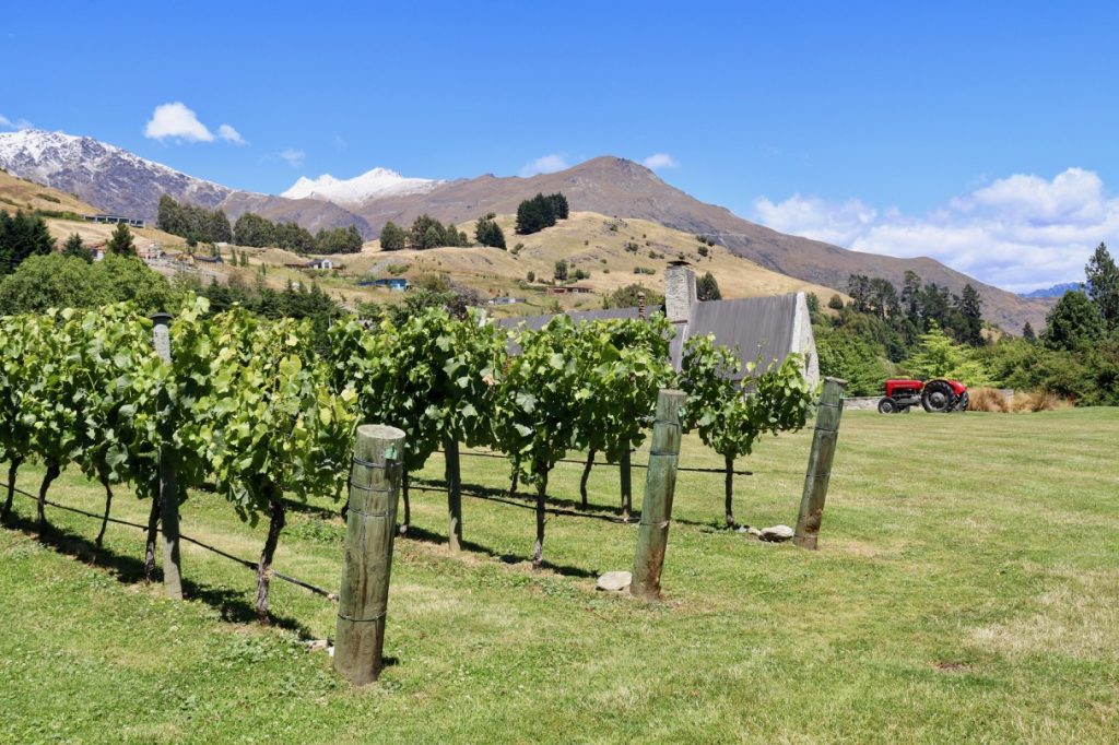 Amsfield Winery near Queenstown in New Zealand