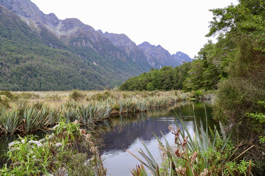 The reflection at Mirror Lakes in New Zealand