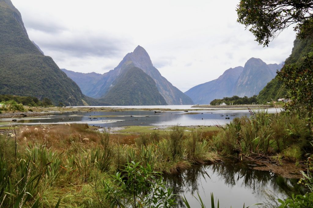 Milford Sound in New Zealand