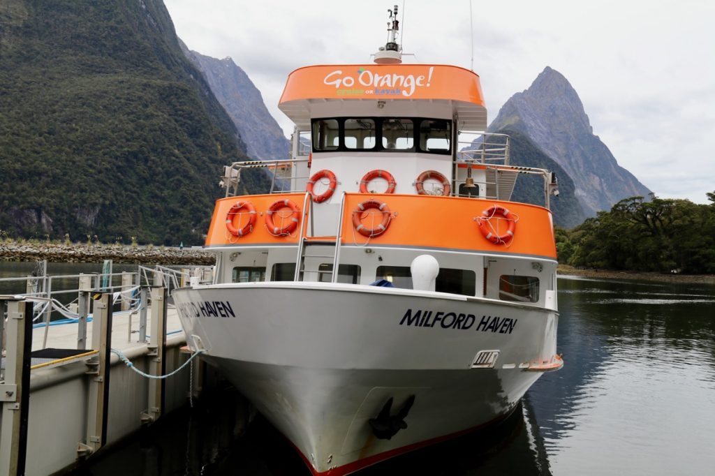 Cruising Milford Sound on Go Orange