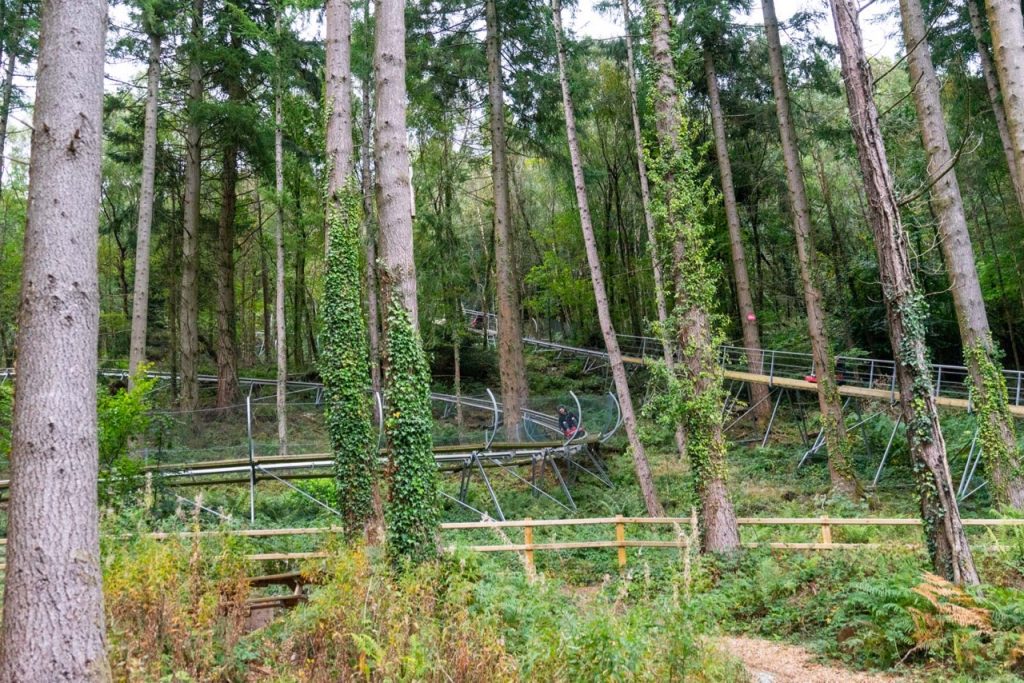 Fforest Coaster at Zip World in Snowdonia