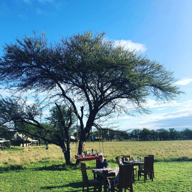 So we’ve been MIA these last few weeks! But we’ve been somewhere nice. Any guesses where we’ve spent the last couple of weeks? .
.
.
#familytravel #adventuretravel #adventuretravels #fearlessfamtrav #ourtribetravels #familytravelblogger #travelkids #travelmadfam #travelmadfamilies #traveljunkies #adventurekids #adventurefamily #exploringfamilies #wanderlustmomblogger #neverstopexploring #goadventuretogether #takeyourkidseverywhere #travelasmuchasyoucan #lpkids #beautifuldestinations #lovelysquares #mumofboys #parentswhowander #worldschooling #myfamilywanderlust #parentblogger #getoutside #travelfamily #snaphappybritmums